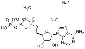 腺苷-5′-三磷酸二钠盐