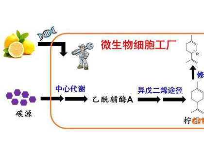 催化创新特区研究组研究员周雍进与西北农林科技大学副教授杨晓兵合作