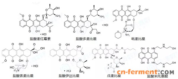 从分子设计角度看蒽环类药物结构及毒性