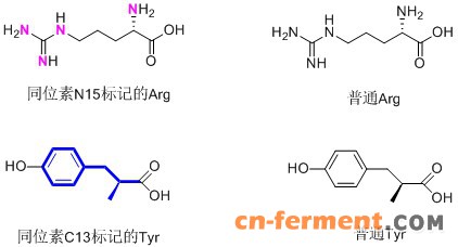 稳定同位素标记技术1