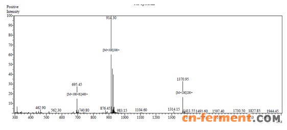 稳定同位素标记技术3