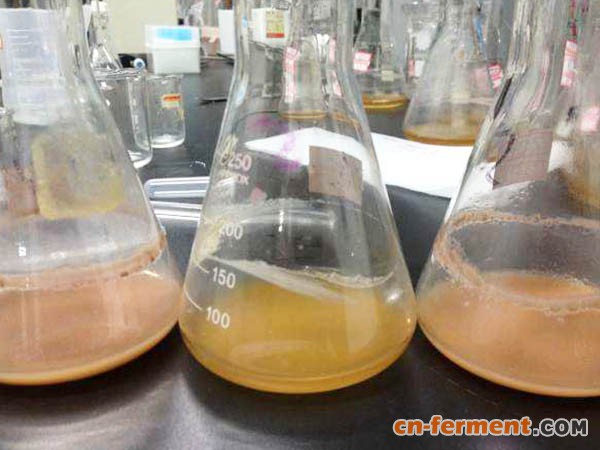 膜过滤浓缩系统过滤发酵液的工艺优势