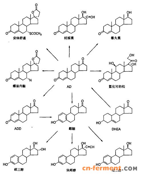 甾体激素类产品调研