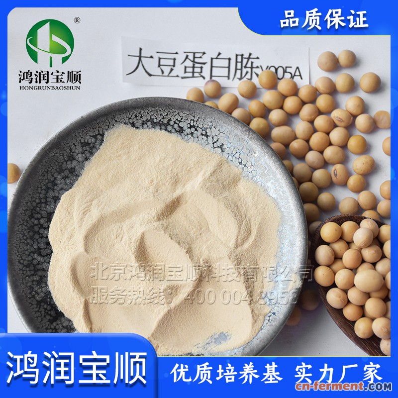 大豆蛋白胨Y005A粉末（篮框）