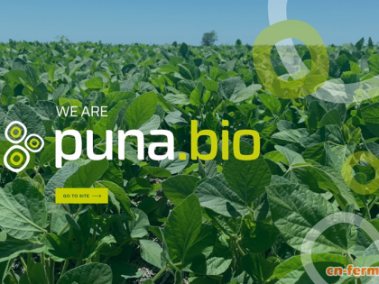 合成生物公司Puna Bio获370万美元种子轮融资，将利用固氮菌提高粮食产量
