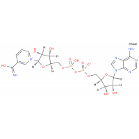 β-烟酰胺腺嘌呤二核苷酸 NAD