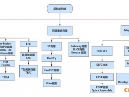 质粒构建的进化史