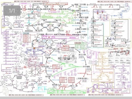 DeepSeek深度思考：如何让发酵控制软件 理解 发酵过程代谢途径，并构建模型